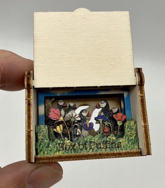 Puffin Box | 3D Pop Up Gift Card | 3D Model Craft Kit