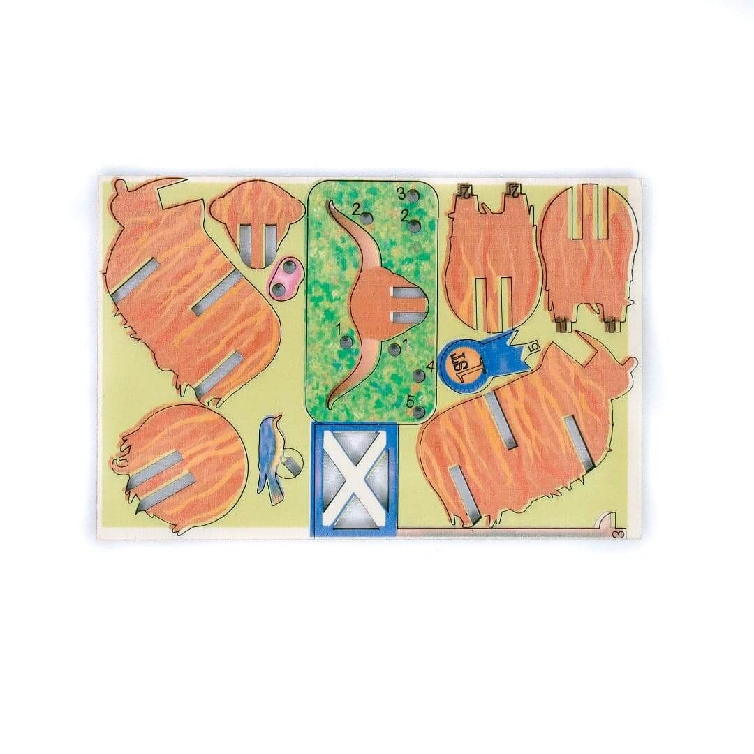 Highland First Prize Coo - Fun Pop Up 3D Wooden Gift Card | Craft