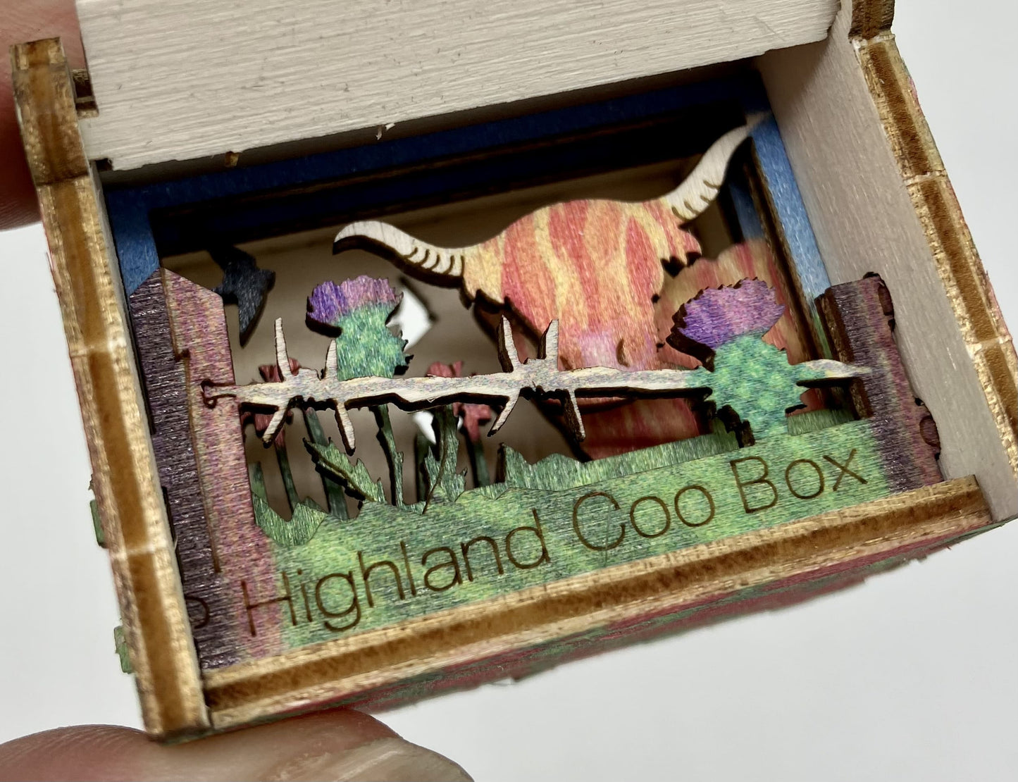 Highland Coo Box | Box silhouette